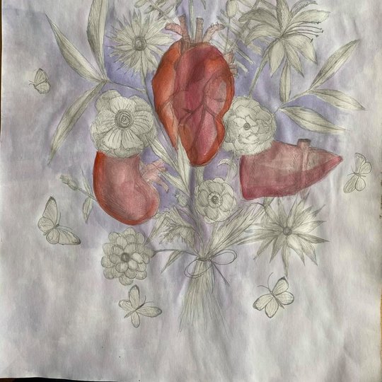 Iliustracija