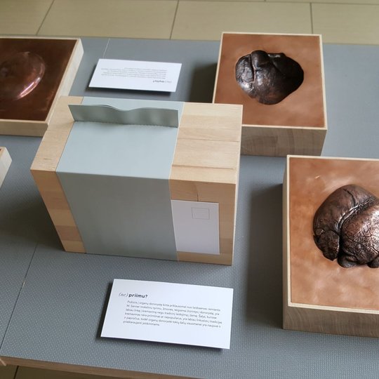 Iliustracija