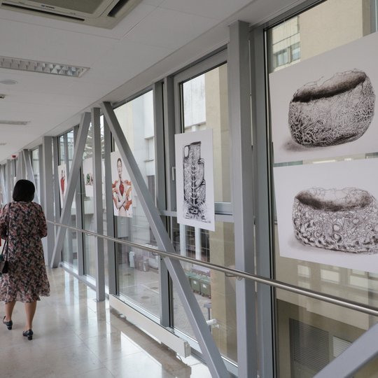 Iliustracija