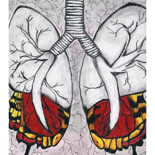 Iliustracija