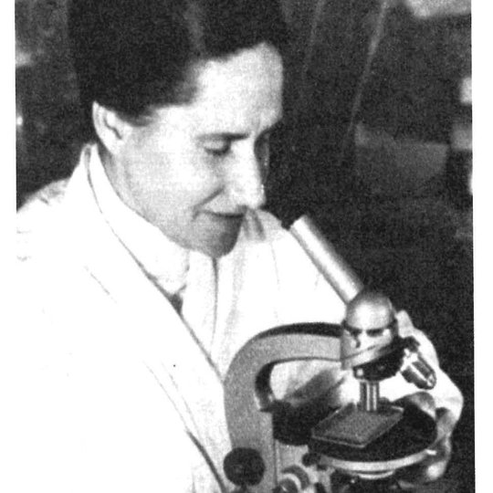 Iliustracija