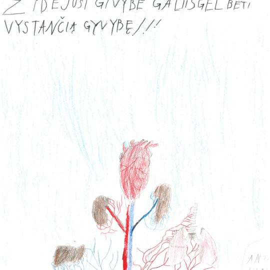 Iliustracija
