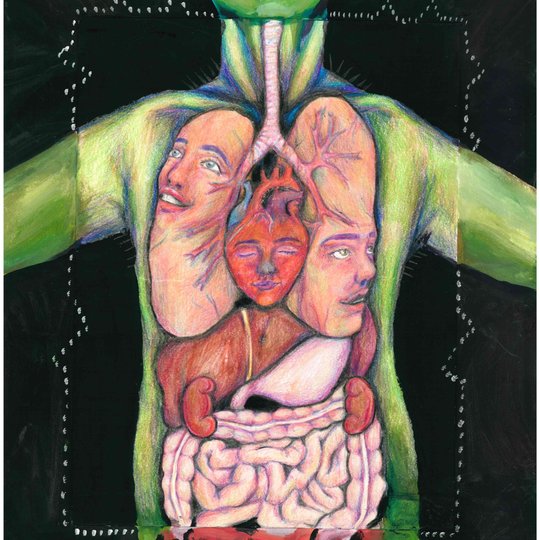Iliustracija