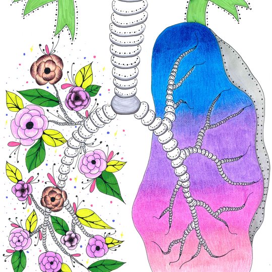 Iliustracija