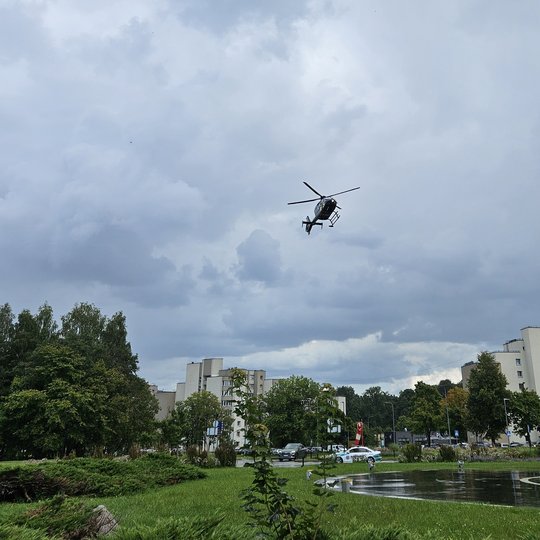 Iliustracija